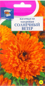 Календула Солнечный ветер