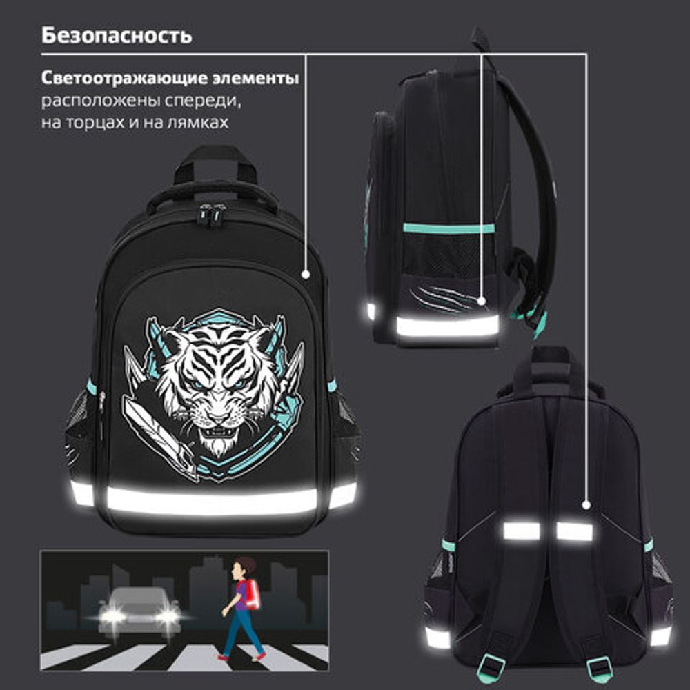 Рюкзак ПИФАГОР SCHOOL, 1 отделение, 3 кармана, "White tiger", 38x28х14 см, 272081