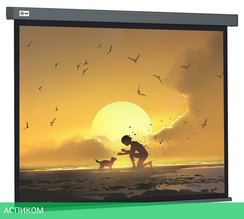 Проекционный экран Cactus CS-PSW-124X221-SG серый