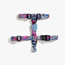 Шлейка BLAST Zee.Dog