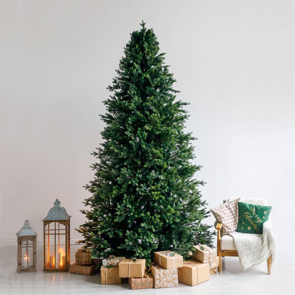 Большая Ель "Сказочная" ствольная