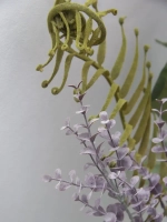 Композиция в ящике "Гортензия"