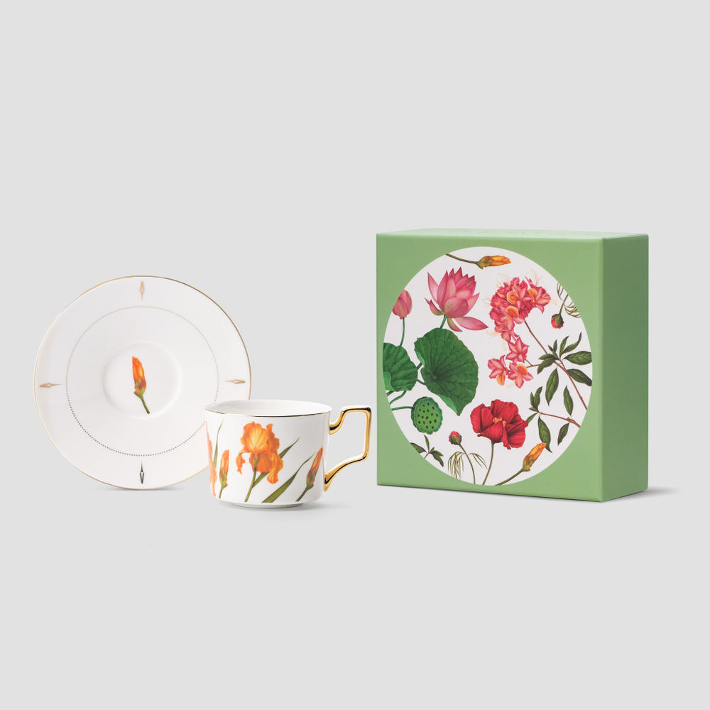 Чайная пара Farforite «Ирисы / Botanicum» 250 мл в подарочной коробке