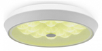 Накладной светильник Freya Cells FR10012CL-L24W
