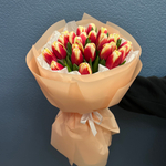 Букет свежих красно-белых тюльпанов