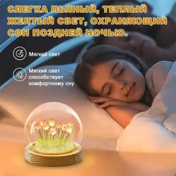 Розовые тюльпаны, настольные лампы.