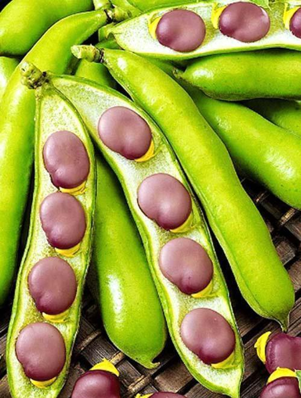 Бобы овощные Белорусские (аэ)