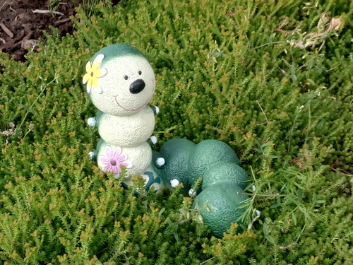 Гусеница с цветами