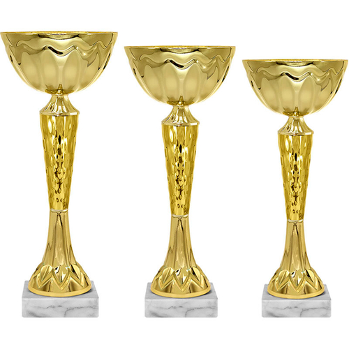 Кубок Злата 5786-100