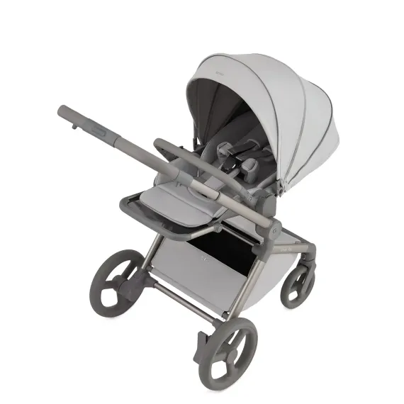 Коляска ANEX Flo 2 в 1 Frossy