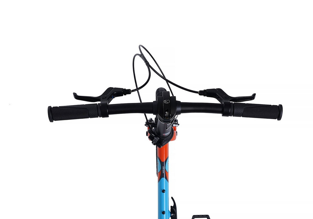 Maxiscoo "S007" PRO 14'' (2024)