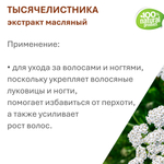 Экстракт тысячелистника, масляный