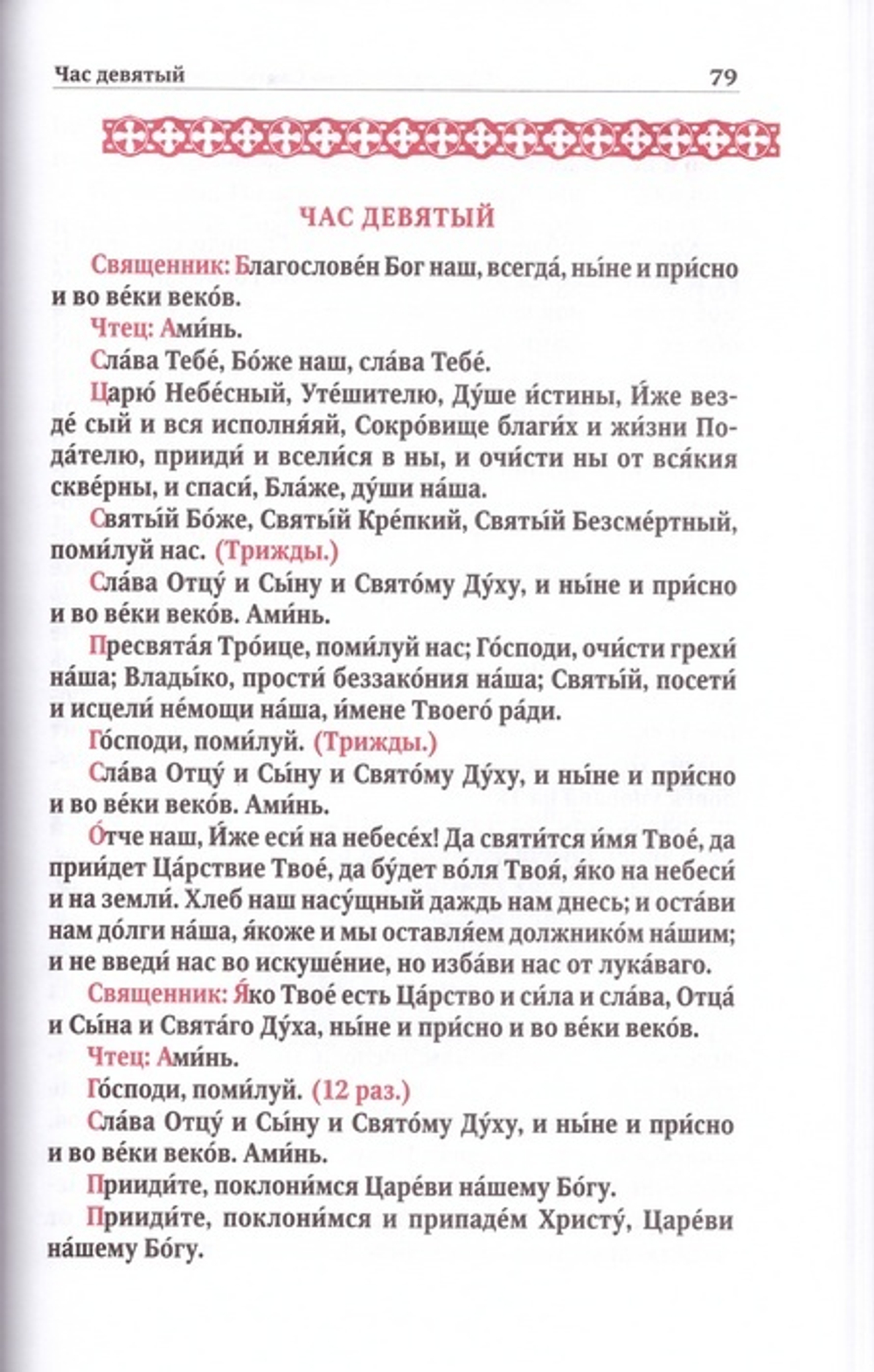 Служба в Неделю Святыя Пятидесятницы с последованием коленопреклонения