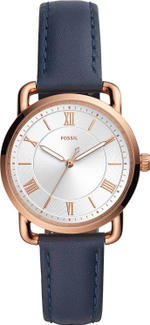 Женские наручные часы Fossil ES4824