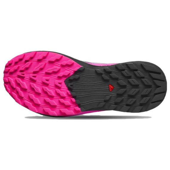 Salomon Sense RIDE 5 Беговые дорожки Низкие Тауповые женские