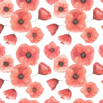 Маки на белом / Poppies on white