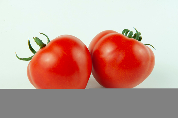 Рахат F1 семена томата среднерослого  (Гавриш) – фото 3