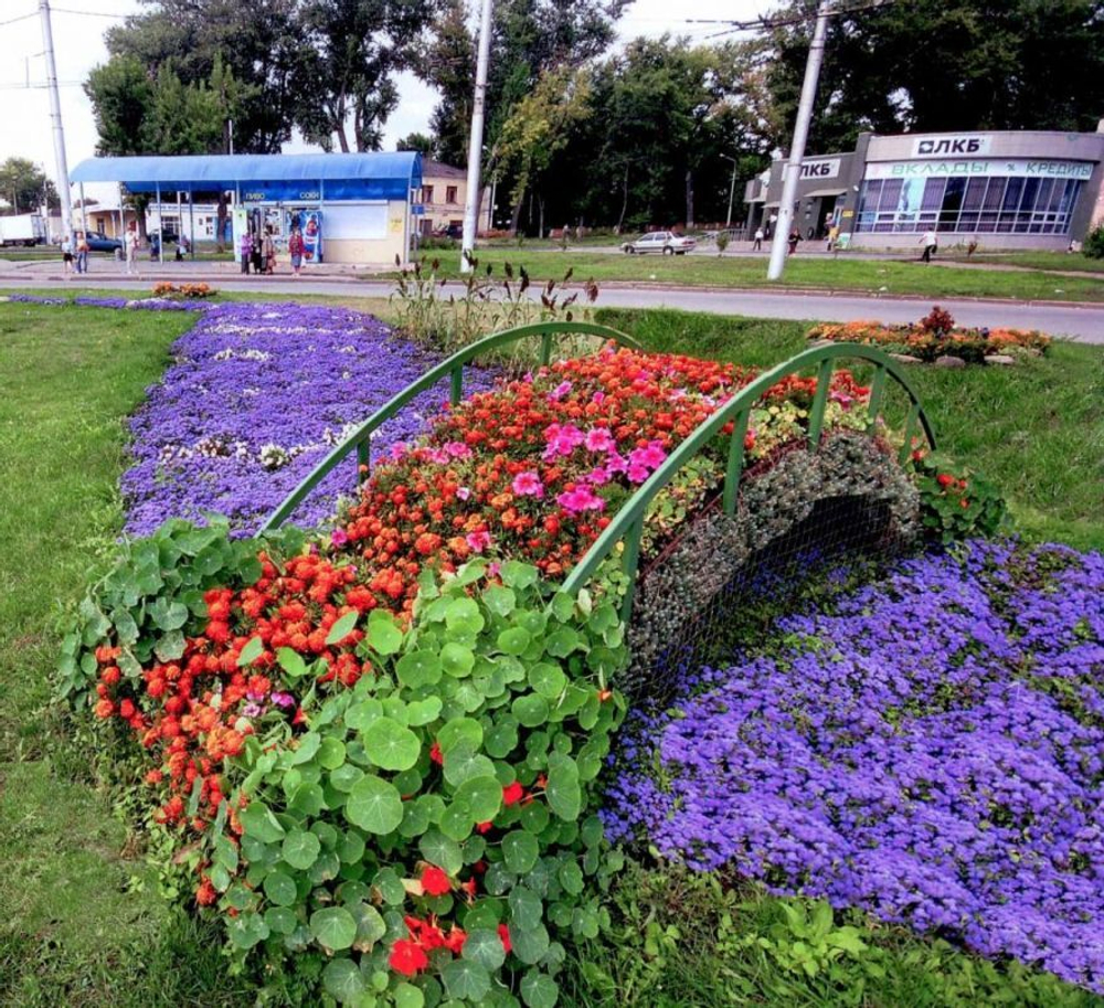 Топиарная фигура Мостик