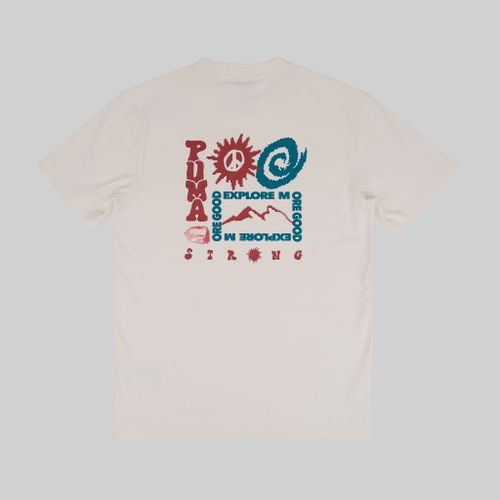 Футболка мужская Puma Downtown Graphic Tee артикул:622984-65 - купить в магазине Дайс