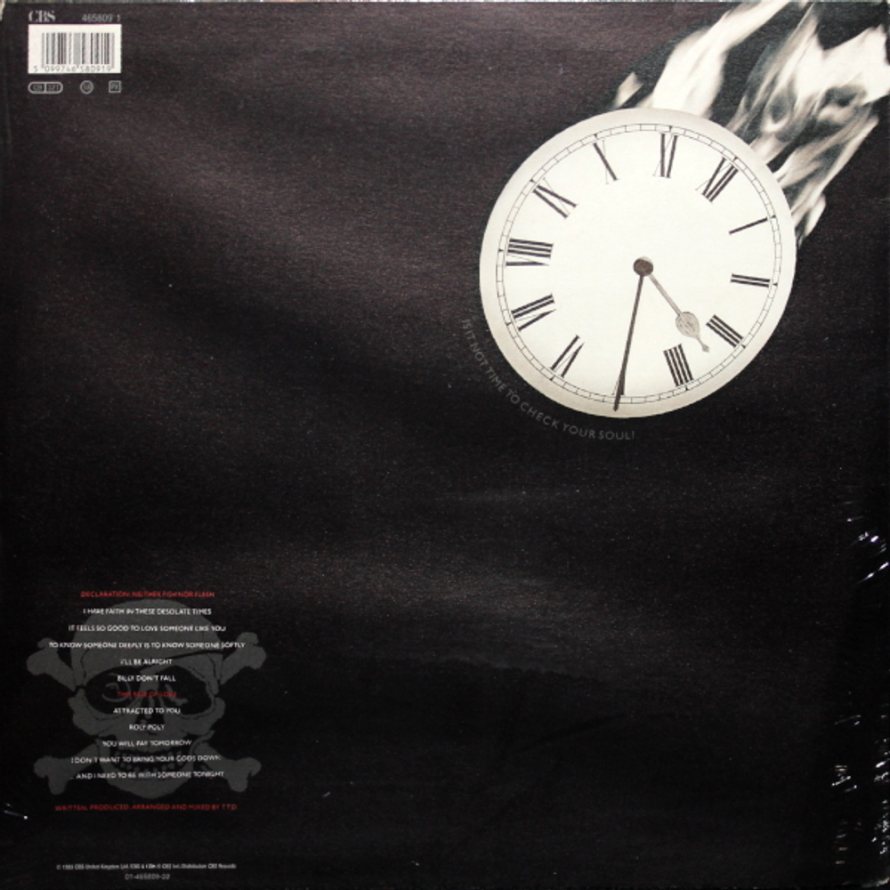 Terence Trent D'Arby / Neither Fish Nor Flesh (A Soundtrack Of Love, Faith, Hope, And Destruction)(LP)
