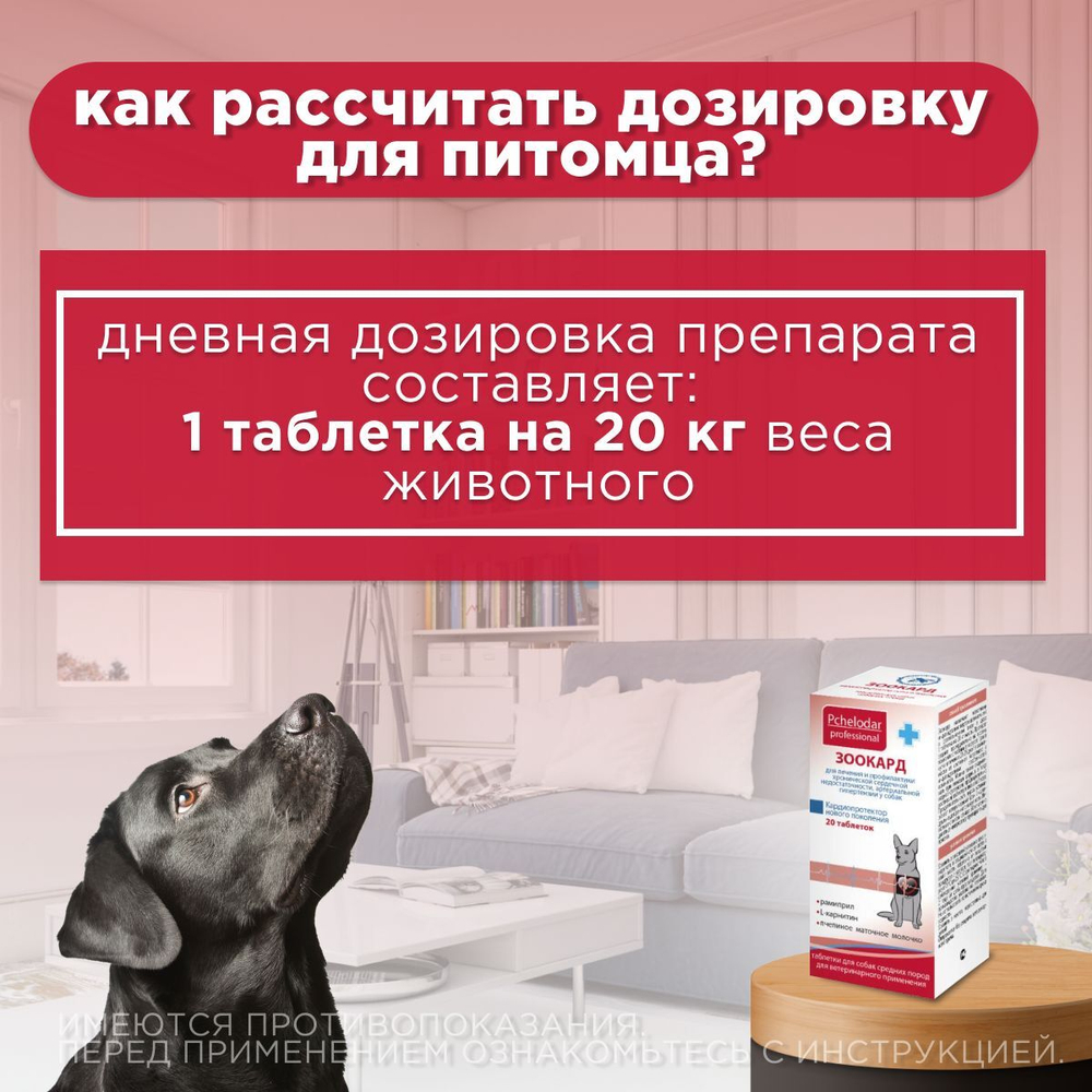 Зоокард Пчелодар Средство для лечения заболеваний сердца у собак средних пород, 2,4 мг, таблетки, 20 шт. Рамиприл.