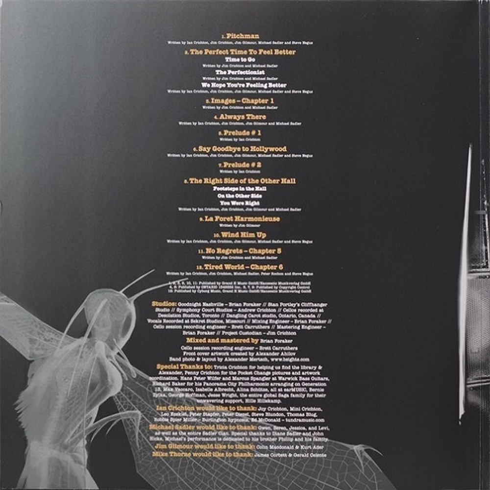 Saga / Symmetry (2LP)