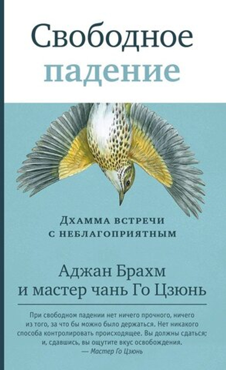 "Свободное падение. Дхамма встречи с неблагоприятным." Брахм Аджан