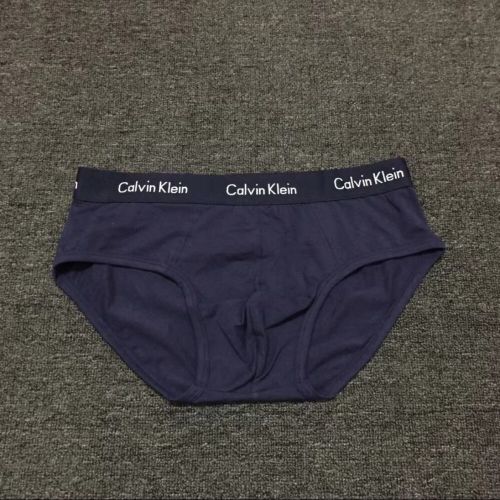 Мужские трусы брифы темно-синие Calvin Klein Briefs СК36621-16