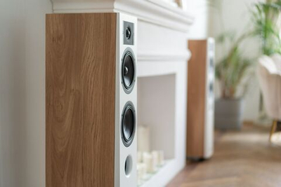 Акустическая система напольная Indiana Line Diva 5