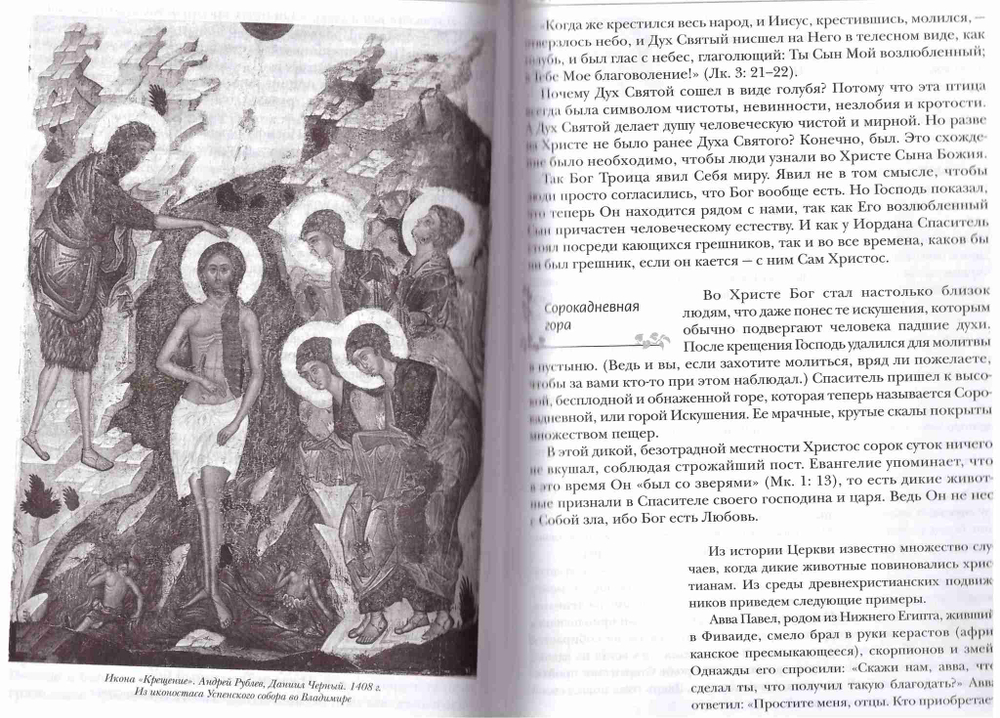 Сокровенный мир православия. Валерий Духанин