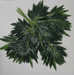 Бамбук крупный / Арт 1023