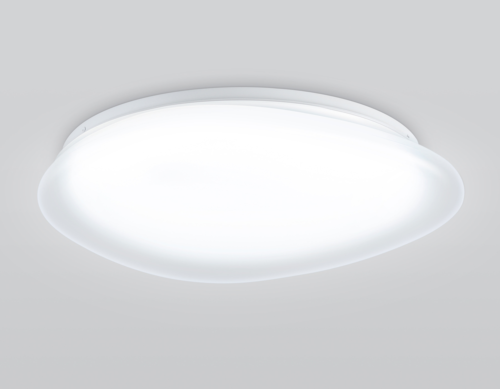 FZ1605 FR матовый IP20 60W 5000K 510*100 (Без ПДУ)