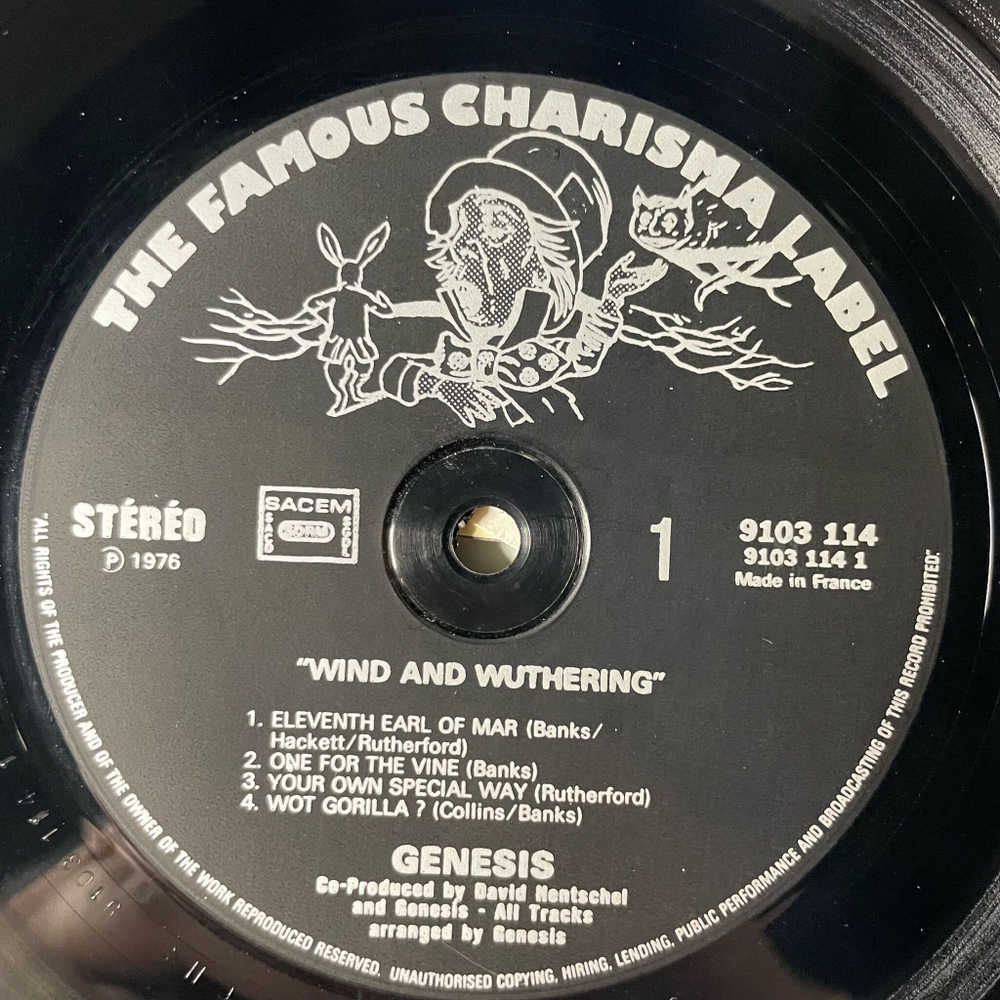 Винтажная виниловая пластинка LP Genesis Wind And Wuthering (France 1976)