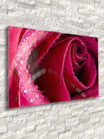 Фото картина на стекле , на стену , в подарок "Хиты цветы" 28х40 см.