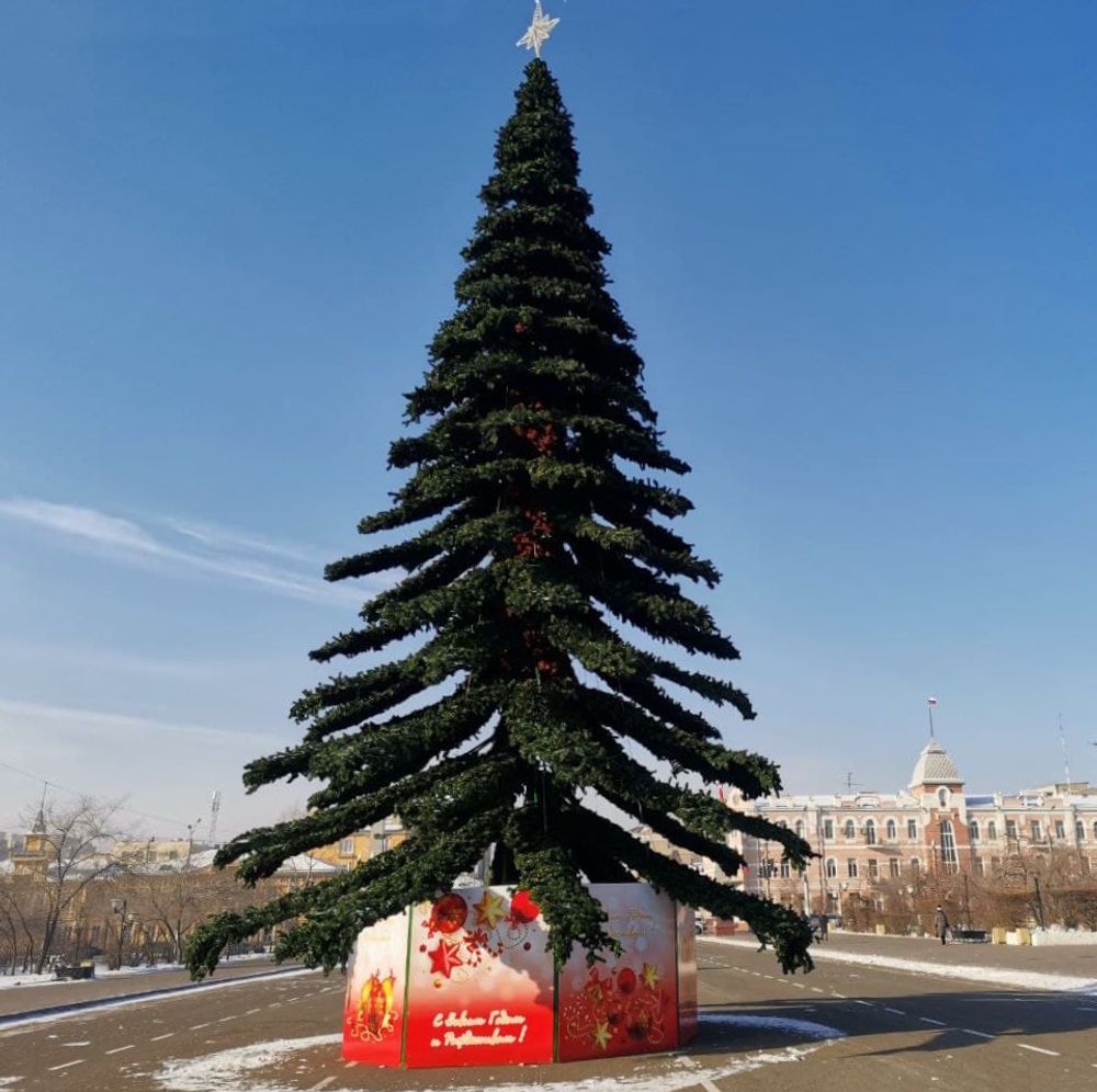 ель ствольная "Таежная"уличная