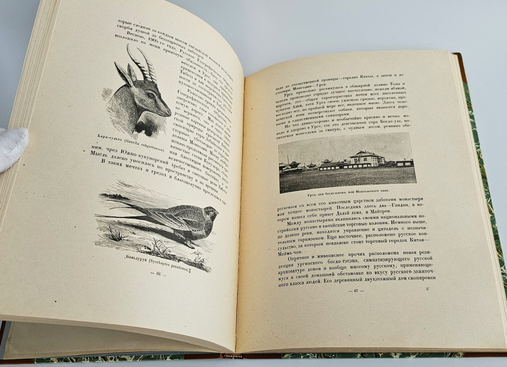 "Тибет и Далай-Лама". П.К. Козлов. 1920г.