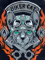 Одежда для кошек сфинкс