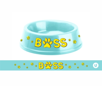 Миска пластиковая «МОЙ БРО - БОСС!, цвет мятный 21*6,5см (логотип на миске) 700мл