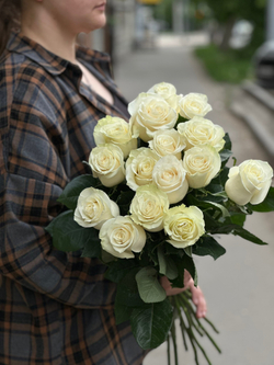 Белая роза сорт «Мондиаль» (Эквадор)