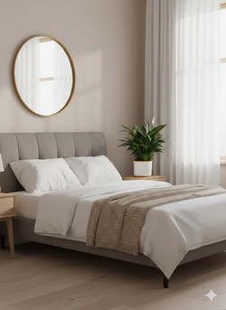 Спатифиллум Light Luxury Crown