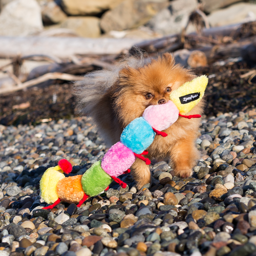 Игрушка Гусеница Squeakers 51 см ZippyPaws