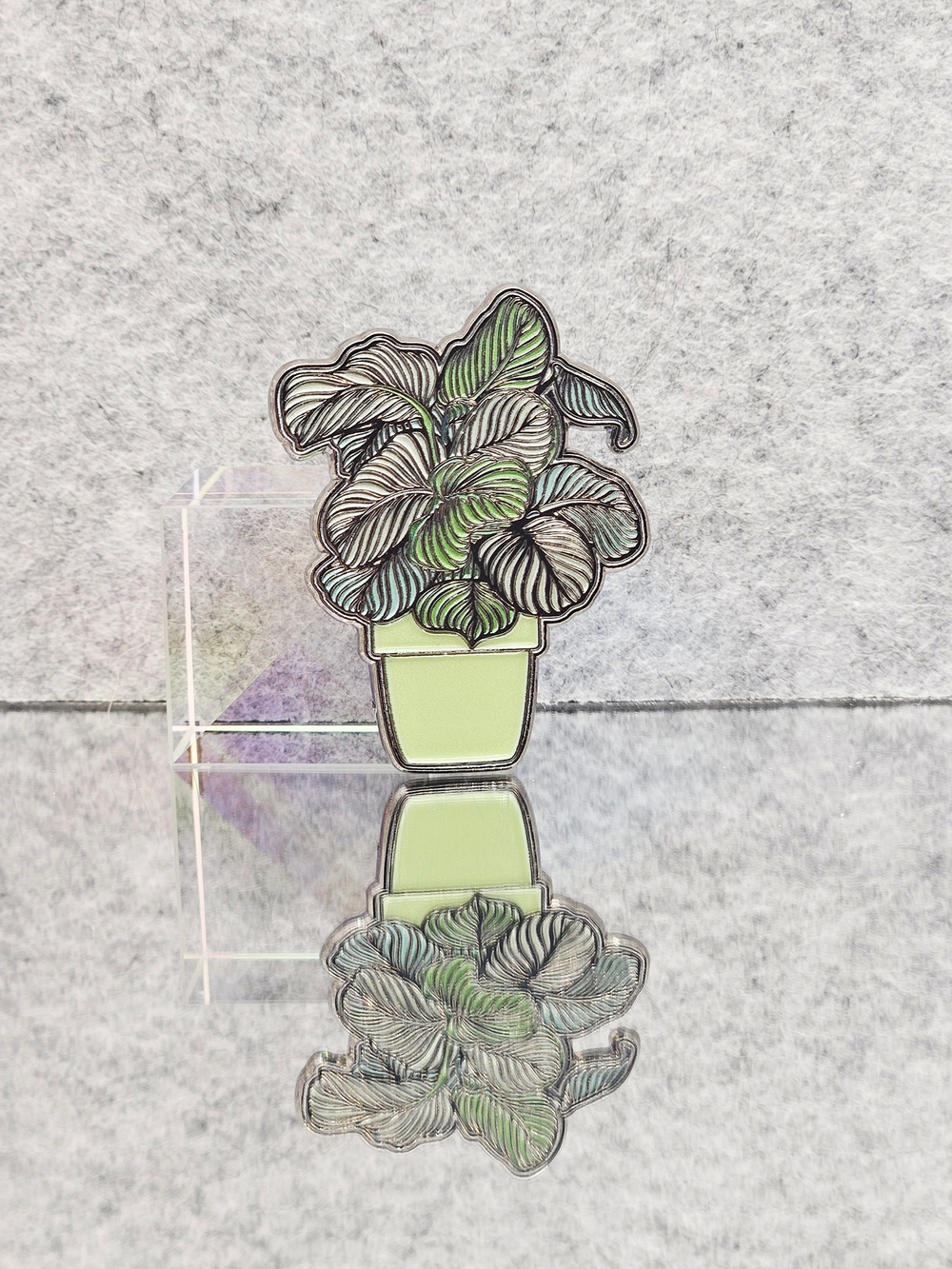 Значок Калатея