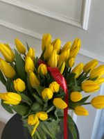 АКЦИЯ тюльпан - классика ЖЕЛТЫЙ