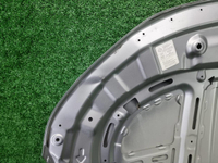 Капот Geely Coolray (2019-2024)