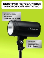 Комплект импульсного света Raylab Axio IV 250 Start Kit