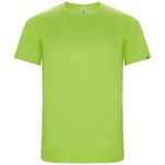 Мужская спортивная футболка Imola с коротким рукавом