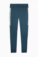 Штаны Puma Neymar Jr Creativity Training