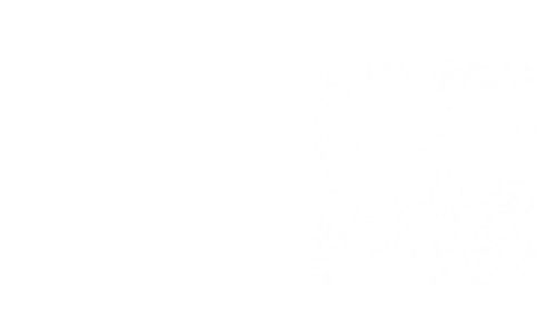 Футболки и топы