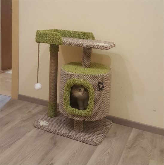 Когтеточка С-6