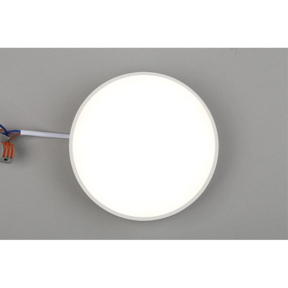 Потолочный светодиодный светильник Aployt Evon APL.0114.09.18